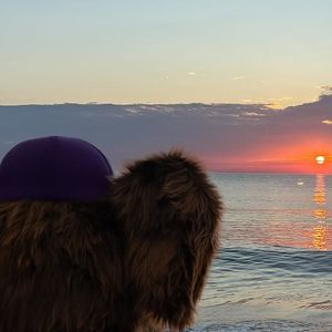 Image post by @amherststudentaffairs on Instagram