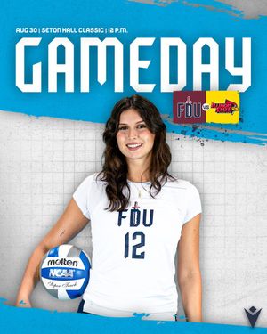 Image post by @FDUKnightsWVB on Twitter