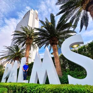 Image post by @palms on Instagram