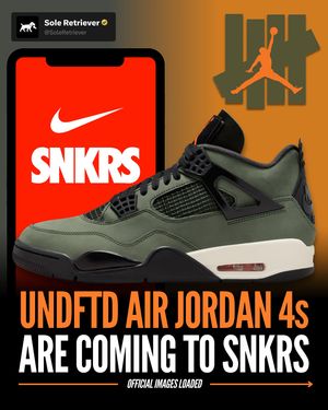 Image post by @soleretriever on Instagram