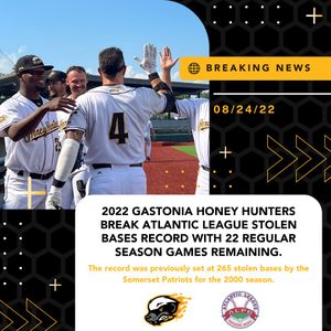 Image post by @gohoneyhunters on Twitter