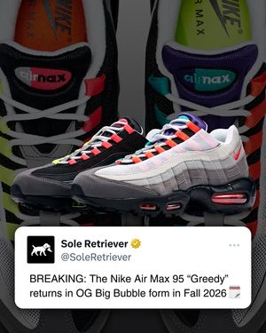 Image post by @soleretriever on Instagram