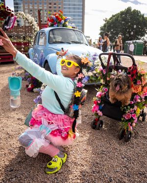 Image post by @downtowntempe on Instagram