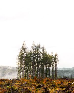Image post by @chrislholder on Instagram