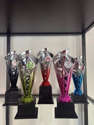 Image post by @trophiesplusmedals on Instagram