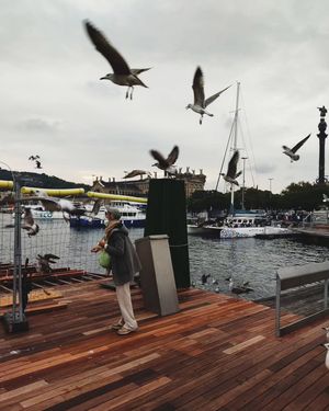 Image post by @samirminotta on Instagram