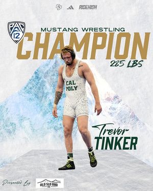Image post by @cpwrestle on Instagram