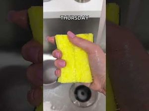 Video post by @sjcocchi on YouTube
