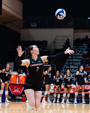Image post by @southlandsports on Instagram