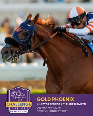Image post by @breederscup on Instagram