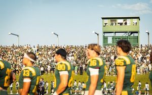 Image post by @bearsandpandas on Instagram