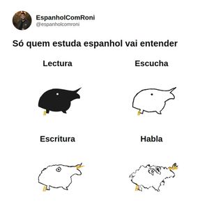 Image post by @espanholcomroni on Instagram