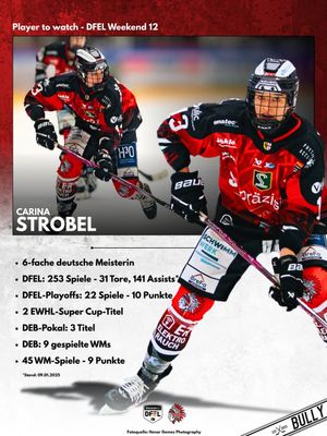 Image post by @bullydereishockeypodcast on Instagram