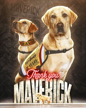 Image post by @GoldenKnights on Twitter