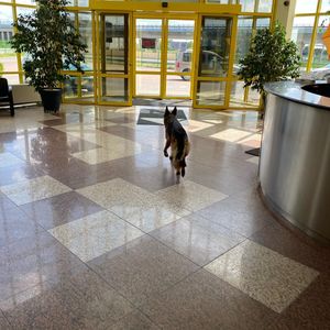 Image post by @grzesieknovak on Instagram