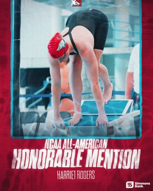 Image post by @razorbackswimdive on Instagram