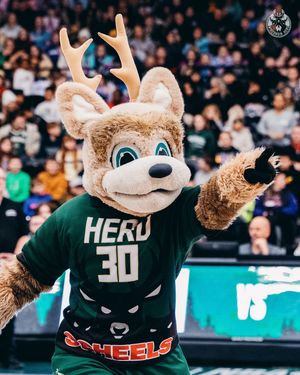 Image post by @wisconsinherd on Instagram