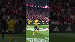 Video post by @deportes on YouTube