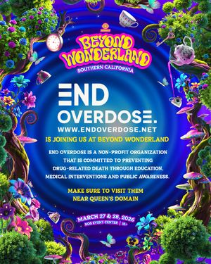 Image post by @beyondwland on Instagram