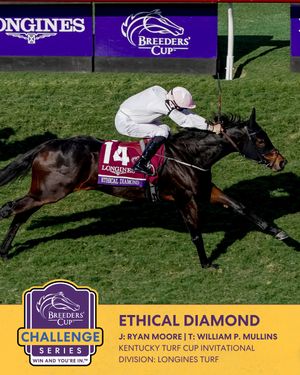 Image post by @breederscup on Instagram