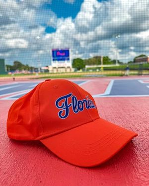 Image post by @gatorsstudents on Instagram