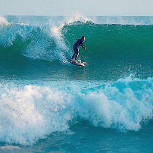 Image post by @workingholidaystudio on Instagram