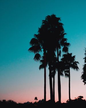 Image post by @illwill17 on Instagram