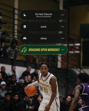 Image post by @tiffinuhoops on Instagram