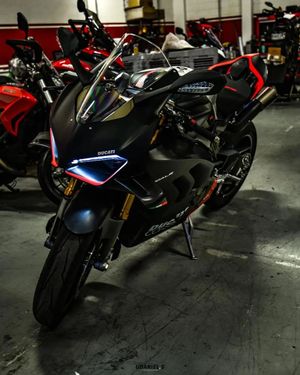 Image post by @panigalers on Instagram