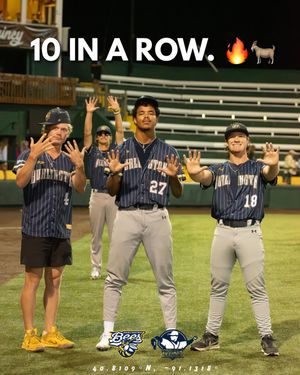 Image post by @burlington_bees on Instagram