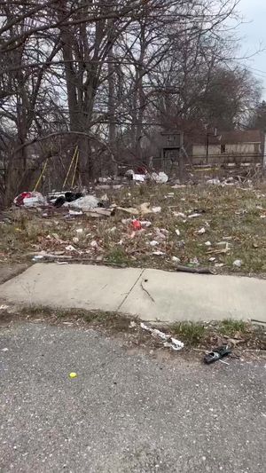 Video post by @DetroitGSD on Facebook