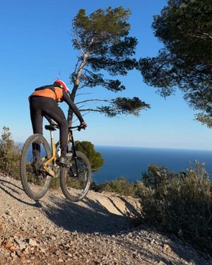 Image post by @bikerumor on Instagram