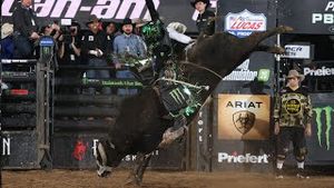 Video post by @pbr on YouTube