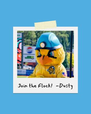 Image post by @dirtybirdscwv on Instagram