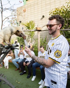 Image post by @padres on Instagram