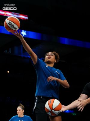 Image post by @minnesotalynx on Instagram