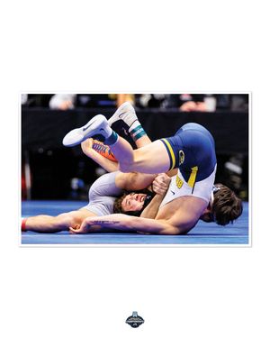 Image post by @kodiak_creative on Instagram