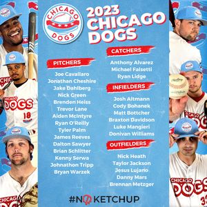 Image post by @TheChicagoDogs on Twitter