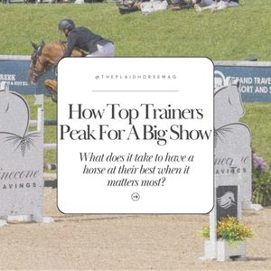 Image post by @theplaidhorsemag on Instagram