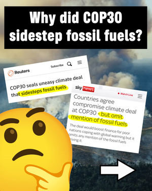 Image post by @greenpeace on Instagram