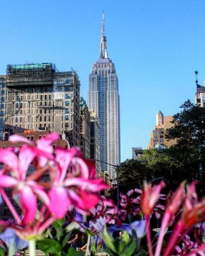Image post by @empirestatebldg on Instagram