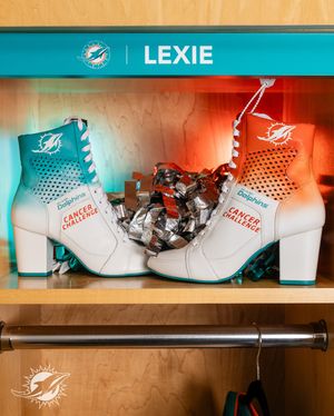 Image post by @dolphinscheer on Instagram