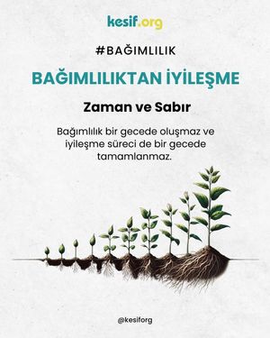 Image post by @kesiforg on Instagram
