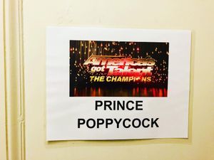 Image post by @princepoppycock on Instagram