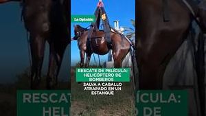 Video post by @laopinionla on YouTube