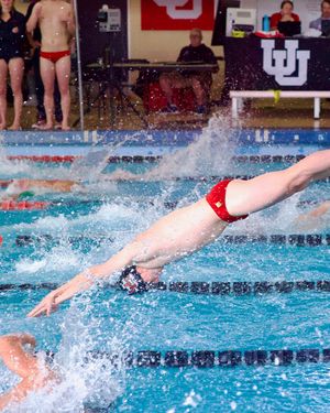 Image post by @utahswimdive on Instagram