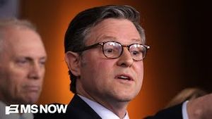 Video post by @msnbc on YouTube