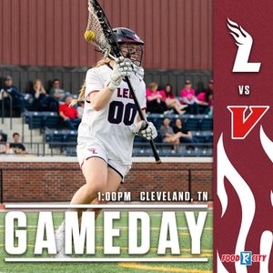 Image post by @leeuwlax on Instagram