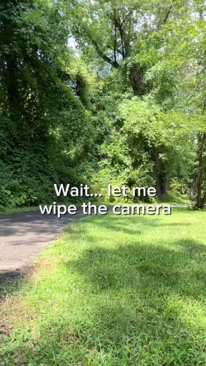 Video post by @alexslemonade on TikTok
