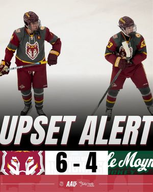 Image post by @aau_collegehockey on Instagram